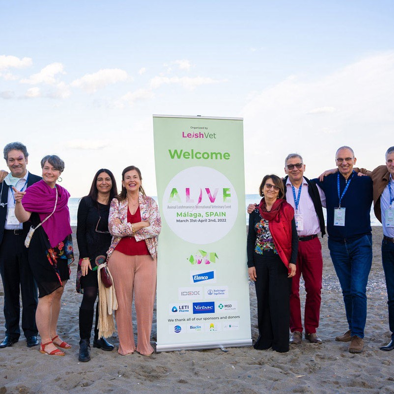 ALIVE 2022. Celebrated in Málaga, Spain