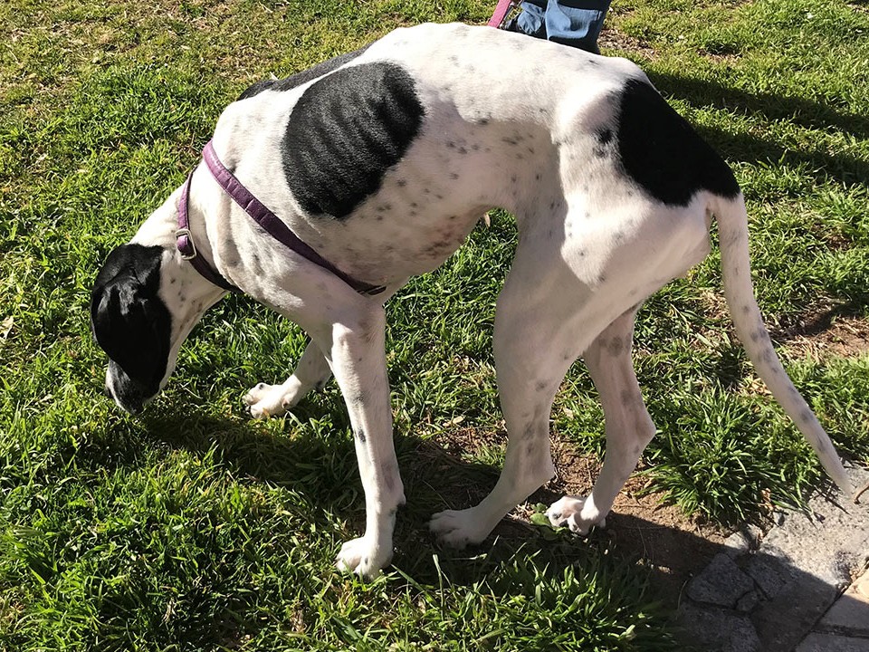 Clinical Manifestations