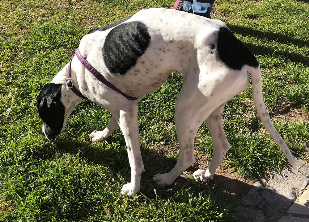 Clinical Manifestations