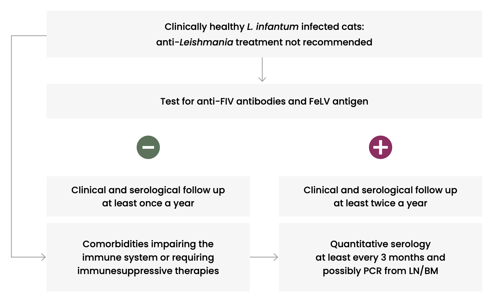 Clinically Healthy Infected Cats