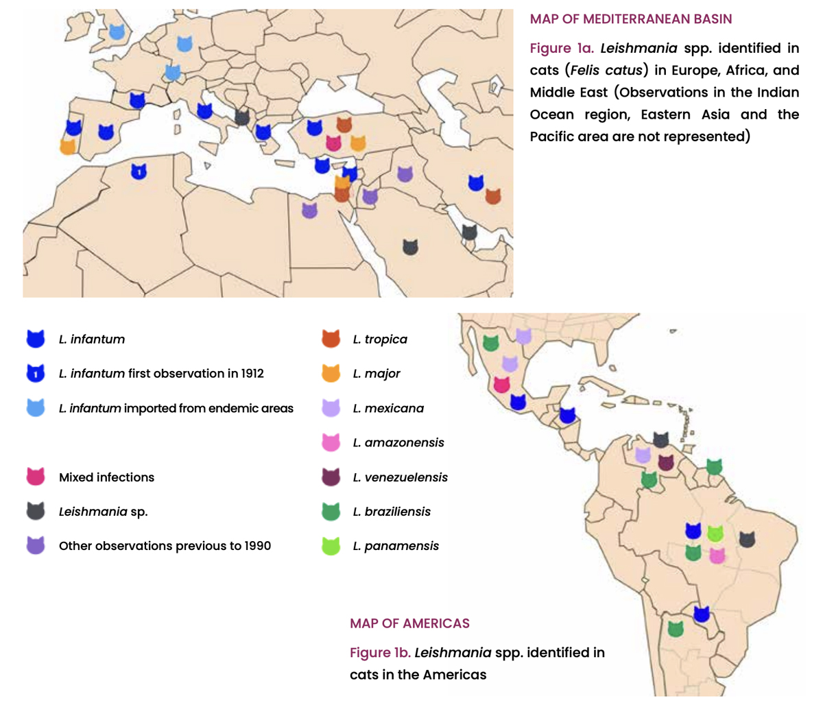 Geographic Distribution Feline Leishmaniosis