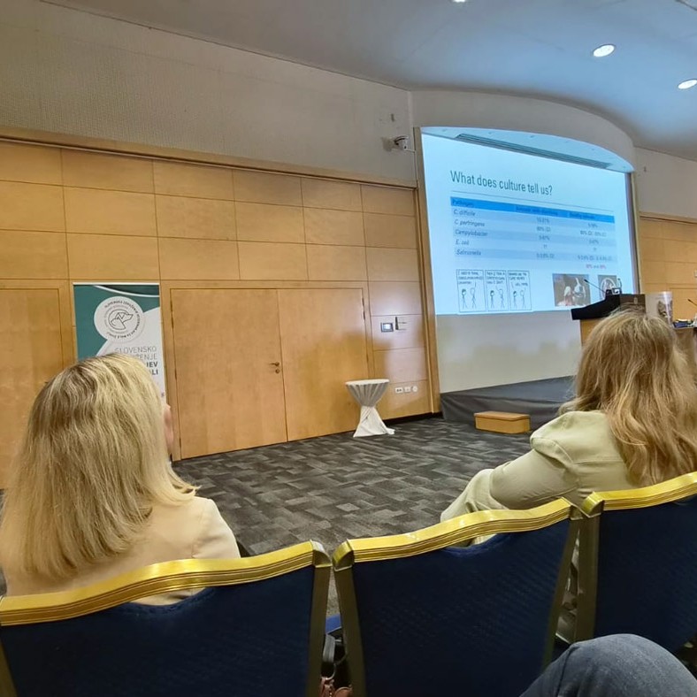 Present at this year’s SISAVA Symposium