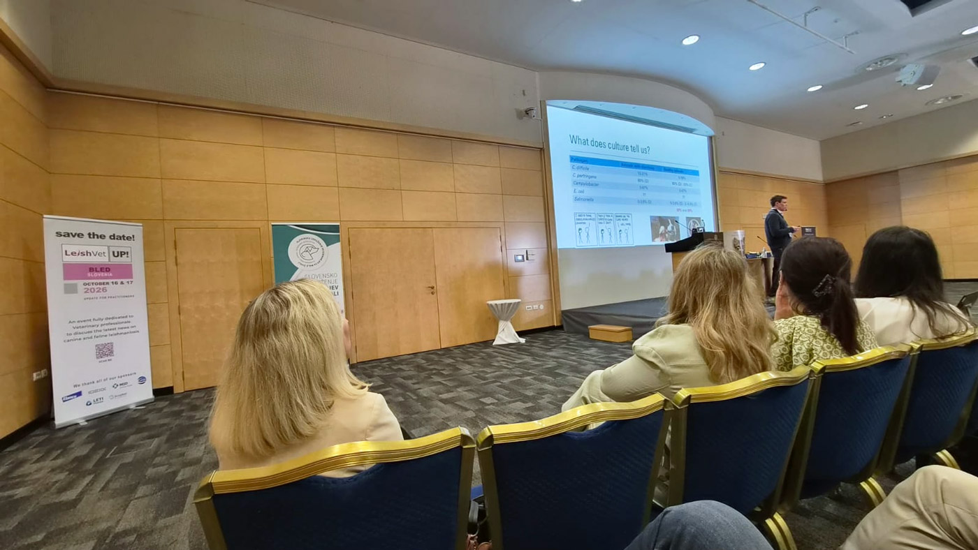 Present at this year&rsquo;s SISAVA Symposium