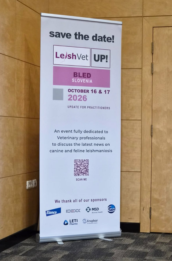 Present at this year&rsquo;s SISAVA Symposium